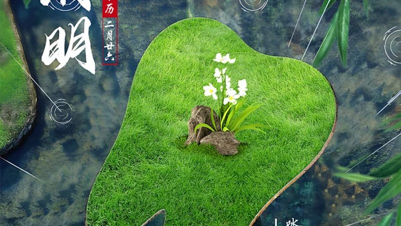 牙齿美白牙膏，价格与效果的平衡之道
